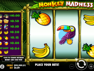 Monkey Madness Slot